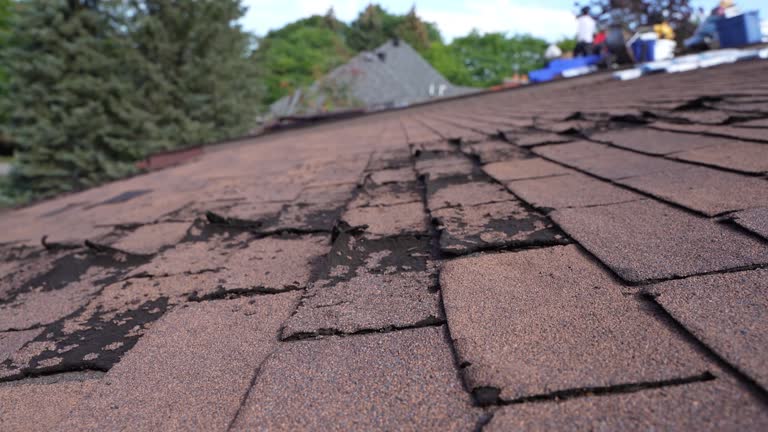 Best Flat Roofing  in , AR