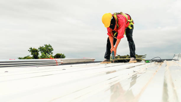Best Roof Ventilation Installation  in , AR