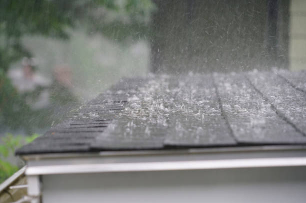 Best Gutter Installation and Repair  in , AR