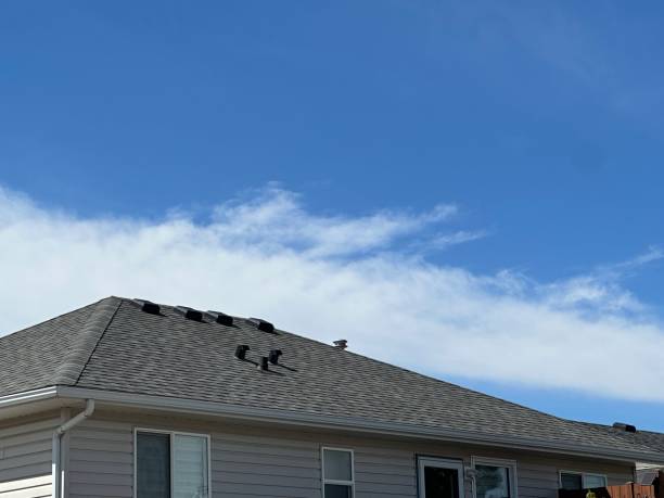 Best Hot Roofs  in , AR